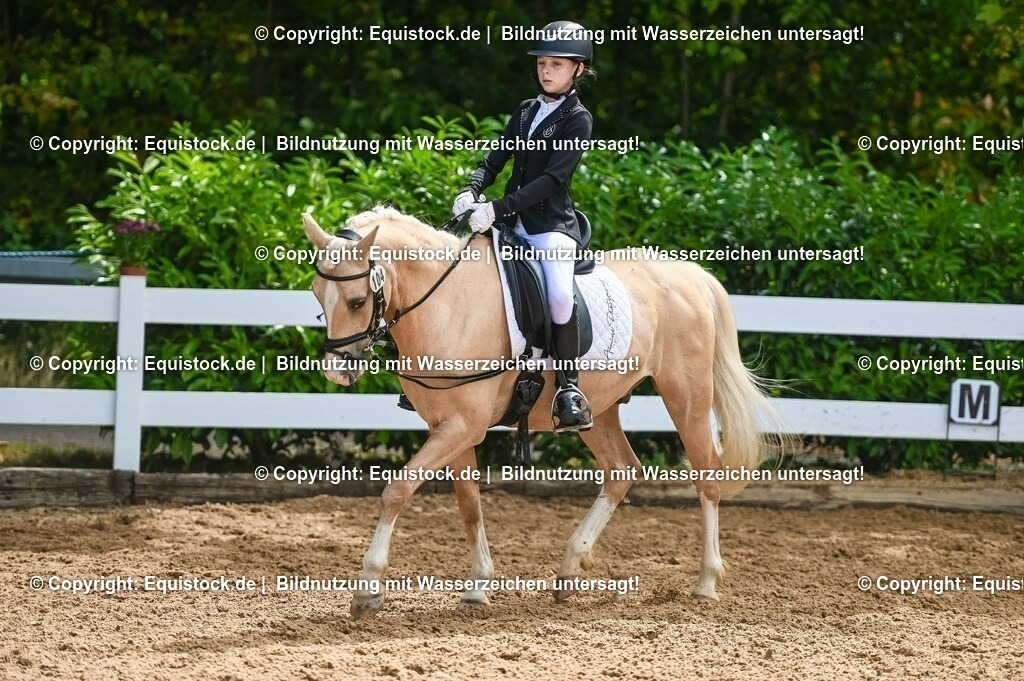 20230716_10-3_Reiter-WB Schritt - Trab - Galopp_0110 | equistock