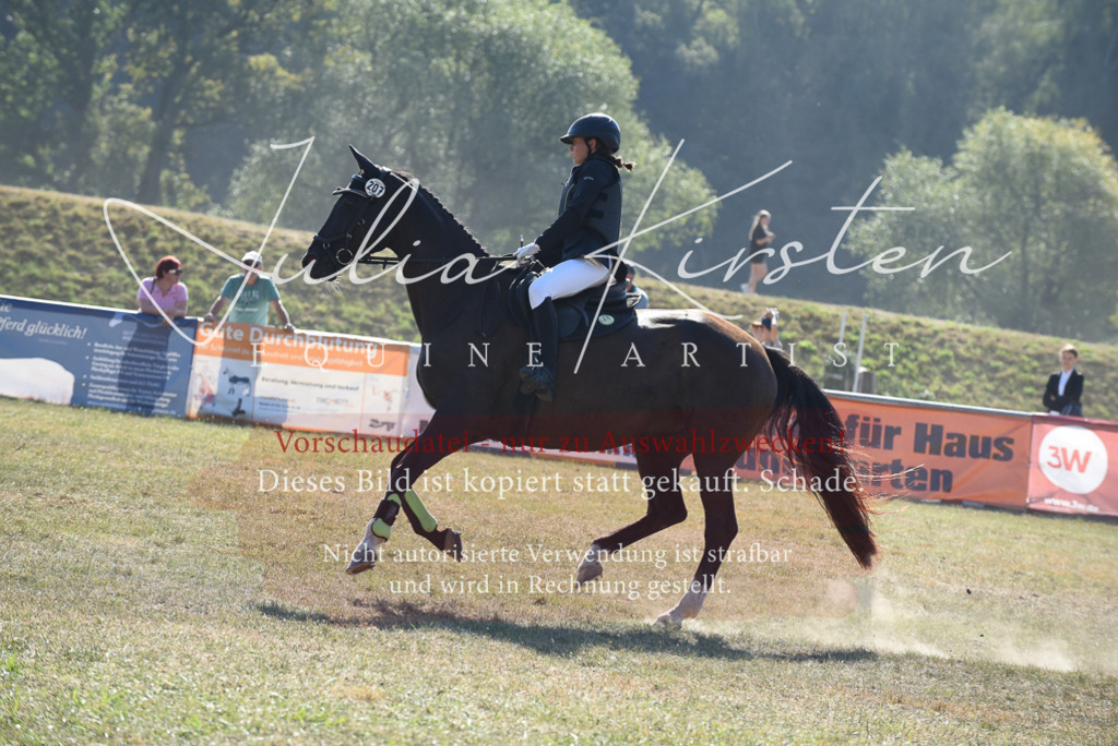 DSC_6003 | Pferde- und Turnierfotografie in Westsachsen. Pferdeportraits, Auftragszeichnungen und intuitive Kunst.