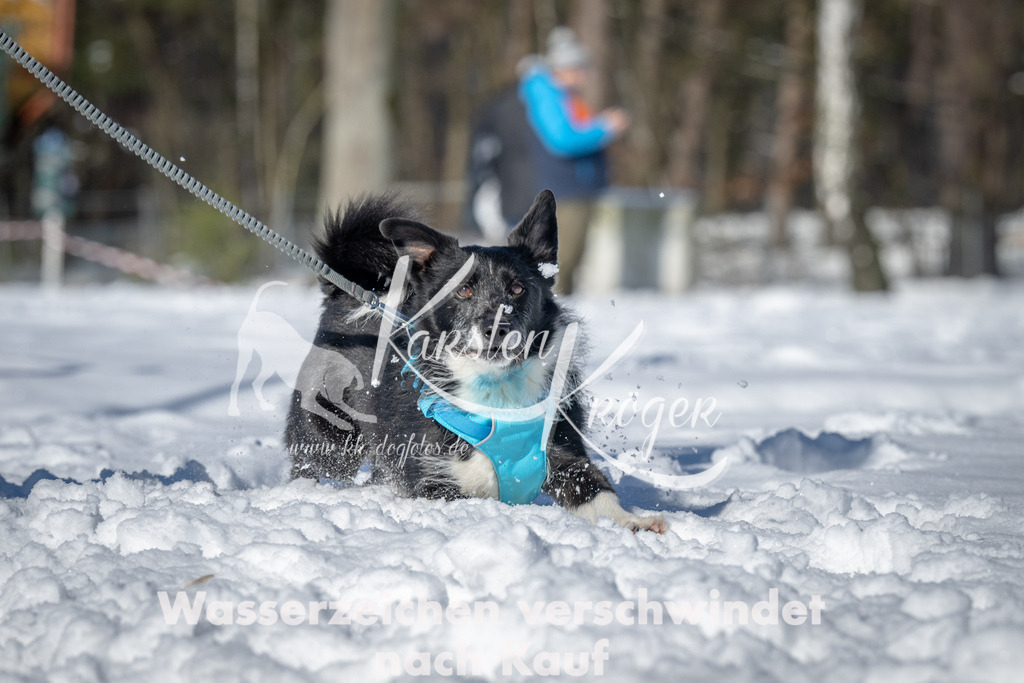 1109_ZZ90273-2 | kk-dogfotos