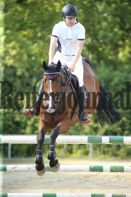 Ladenburg_2022_Stilspringen_Kl.M_U-25_Fabian Beck_Quintus 156 (6) | Alle Fotos der Reiterjournal Fotografin Doris Matthaes im Reiterjournal Online-Fotoshop. - Realisiert mit Pictrs.com
