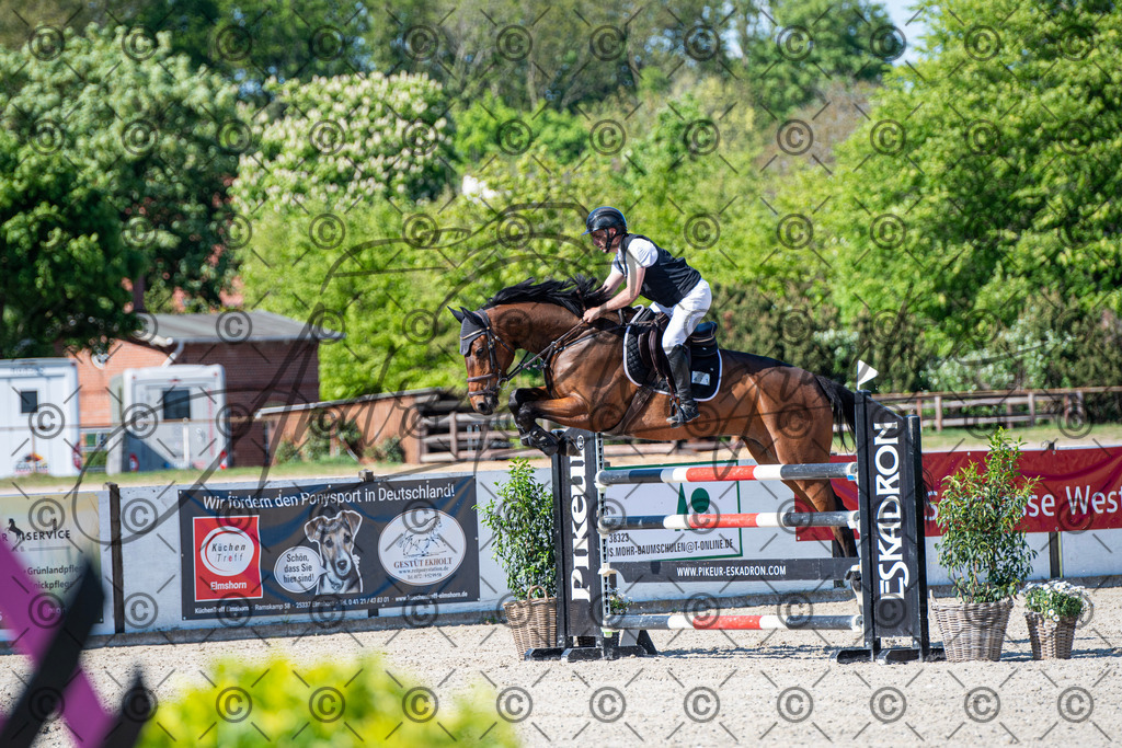 KPT_1533 | andre_photographic