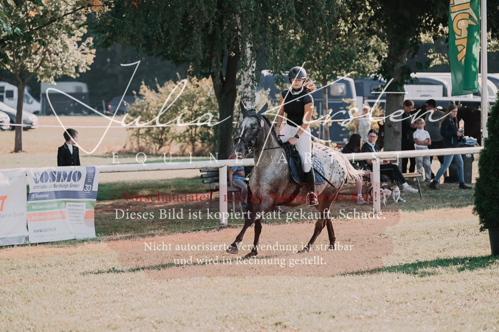 DSC_4487 | Pferde- und Turnierfotografie in Westsachsen. Pferdeportraits, Auftragszeichnungen und intuitive Kunst.
