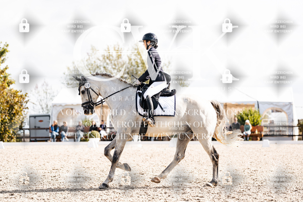 CK902035 | Turnierfotografie Pferdefotografie Trier Rheinland-Pfalz Pferdesport Reitsport Tierfotografie Sportfotografie Pferdevideo Pferdevideografie Equestrianvideography equestrianphotography  - Realisiert mit Pictrs.com
