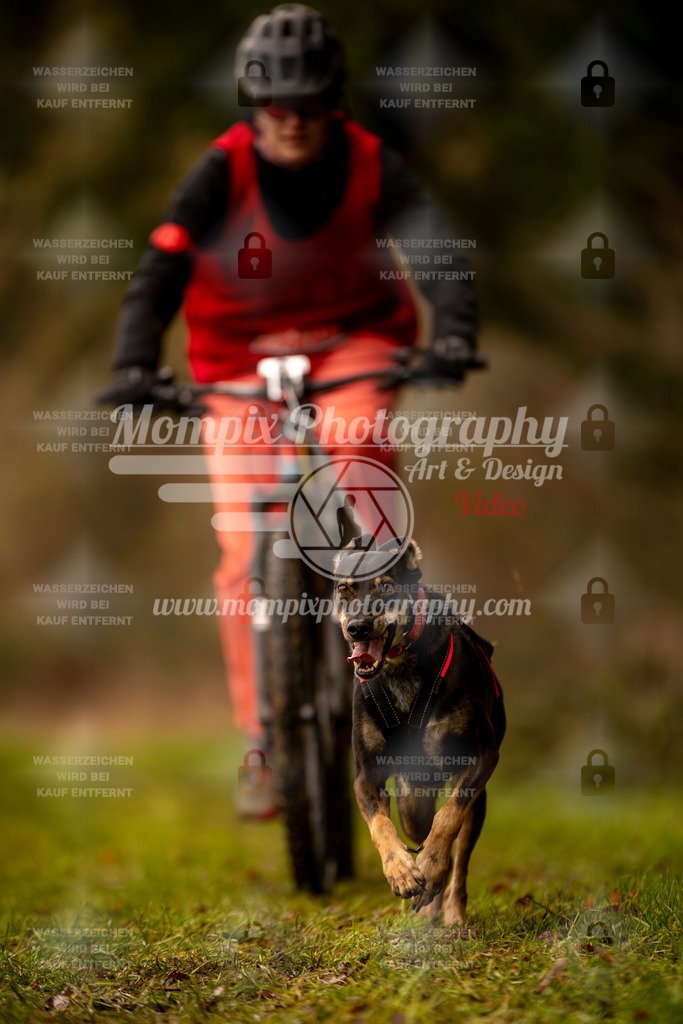 MompixPhotography_2SSTSSBW_2025_SO_Bike-89 | PayLife
