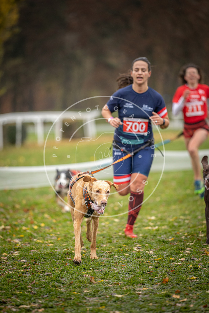 CaniXpix_DV3A9203 | Hundefotografie, Tierfotograf, Pfotenfotografie, Fotoshooting Hund, Hunde Portrait, Hundesport, Hundeportraits, Heideshooting, Hunde, Sportfotograf, Hundefotograf, Turnierhundsport, THS,  - Realisiert mit Pictrs.com