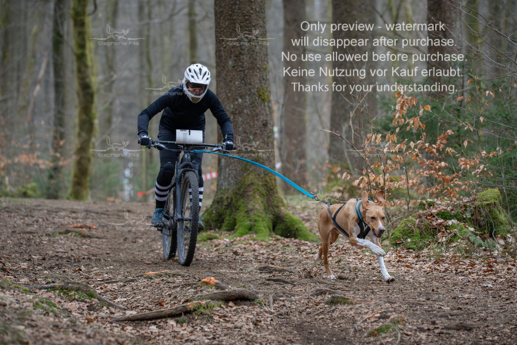 Bike_So-141 | stephaniefillaphotographie - Realisiert mit Pictrs.com