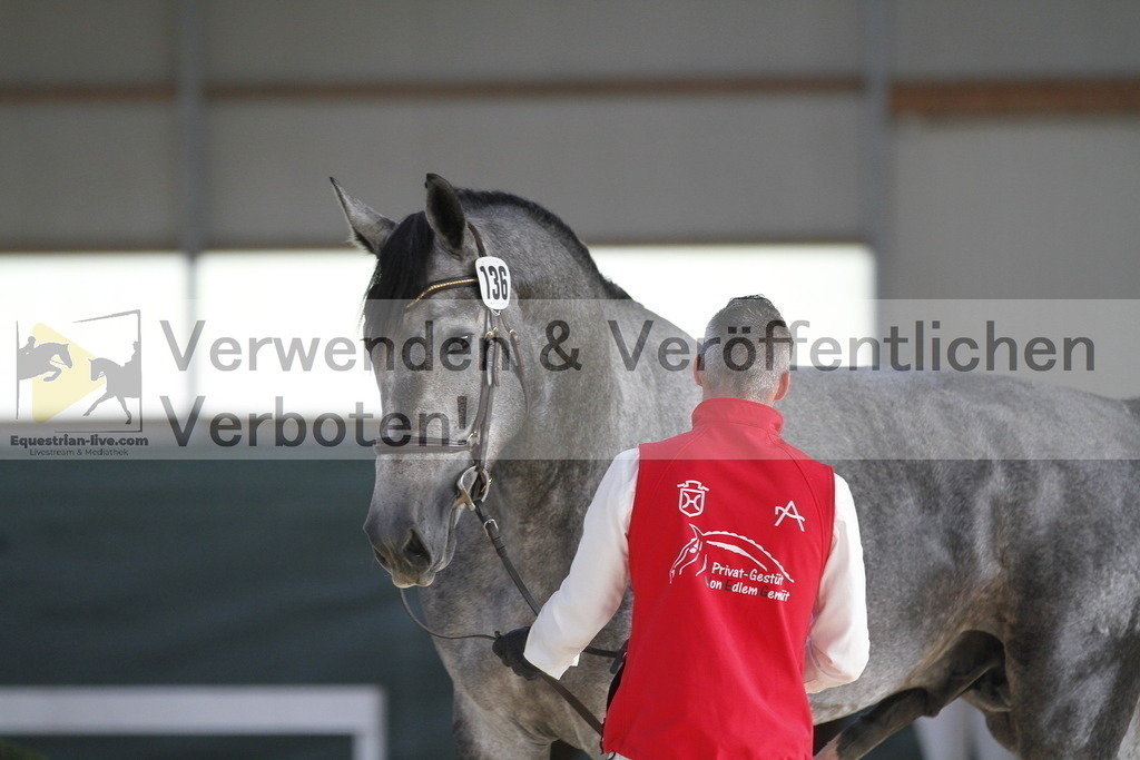 _MG_1084 | equestrian-live-com