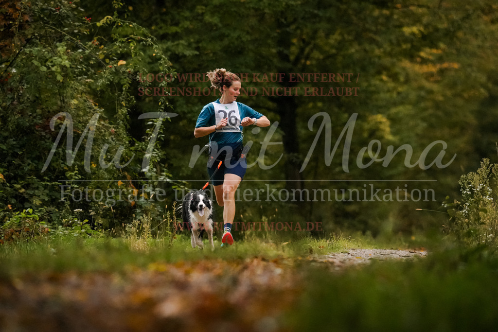 20251005_THS_Turnier-2 | MuT (Mensch und Tier) mit Mona - Fotografie und Tierkommunikation - Realisiert mit Pictrs.com