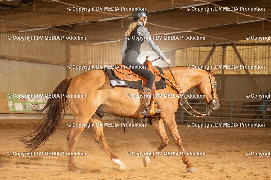 NID03759 | dv-media-shop - Realisiert mit Pictrs.com