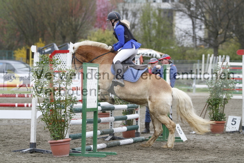 _MG_4569 | equestrian-live-com