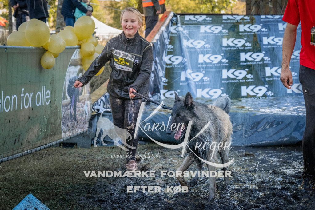 1441_ZZ93825 | kk-dogfotos