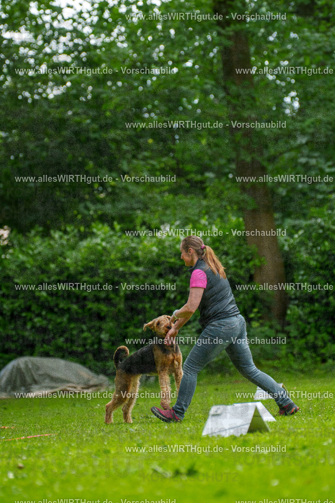 @allesWIRTHgut_Tierfotografie - www.allesWIRTHgut.de - 124109-7R509324 | Professionelle Tierfotografie in Mönchengladbach von Daniel Wirth (allesWIRTHgut). Liebevolle & natürliche Bilder von Hunden & Katzen für unvergessliche Erinnerungen.