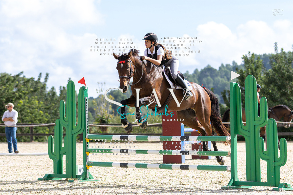 IMG_2935 | s-jay-photography - Realisiert mit Pictrs.com