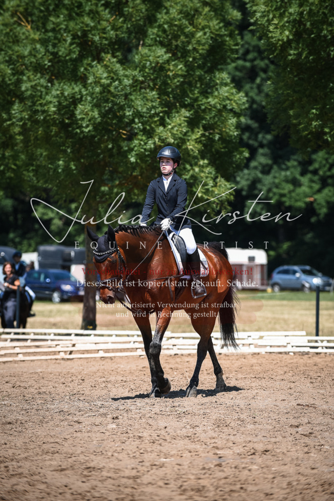 DSC_2764 | Pferde- und Turnierfotografie in Westsachsen. Pferdeportraits, Auftragszeichnungen und intuitive Kunst.