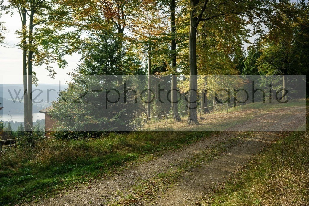 Herbstlauf 2017 | Neuhaus/Rwg. - Masserberg am 1. Oktober 2017