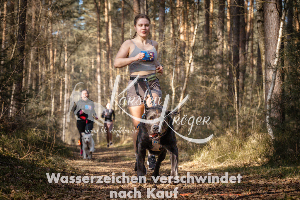 1100_ZZ99847 | kk-dogfotos