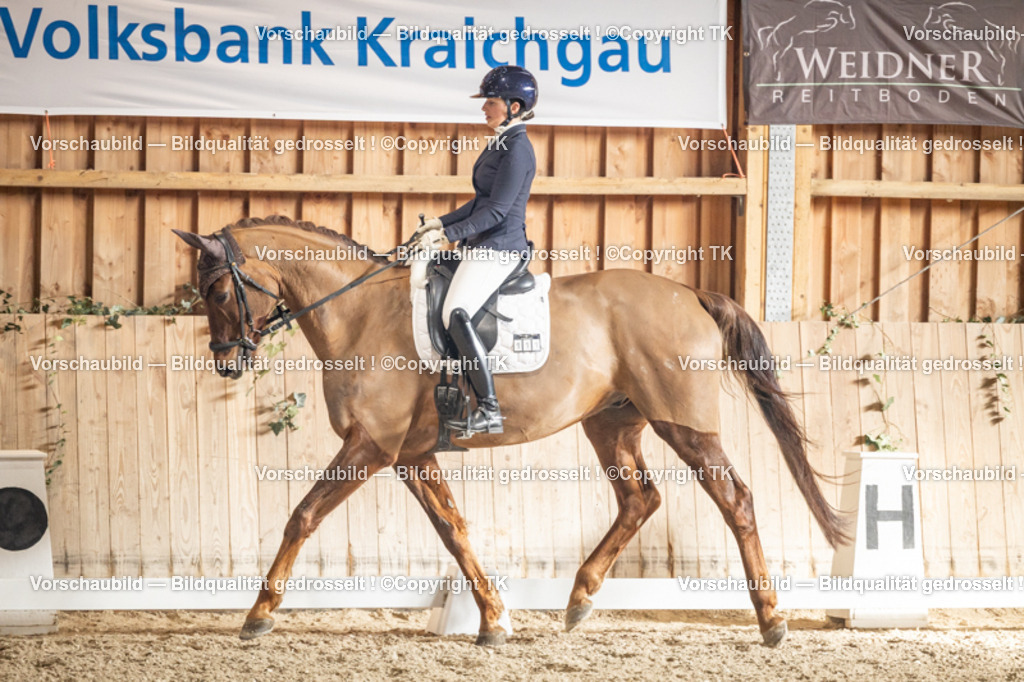 _D5A1183 | Emotionale Pferde- & People-Fotografie rund um Heidelberg, Leimen & Umgebung. Natürliche Fotos von Pferd, Mensch & Familie. Jetzt Termin sichern!