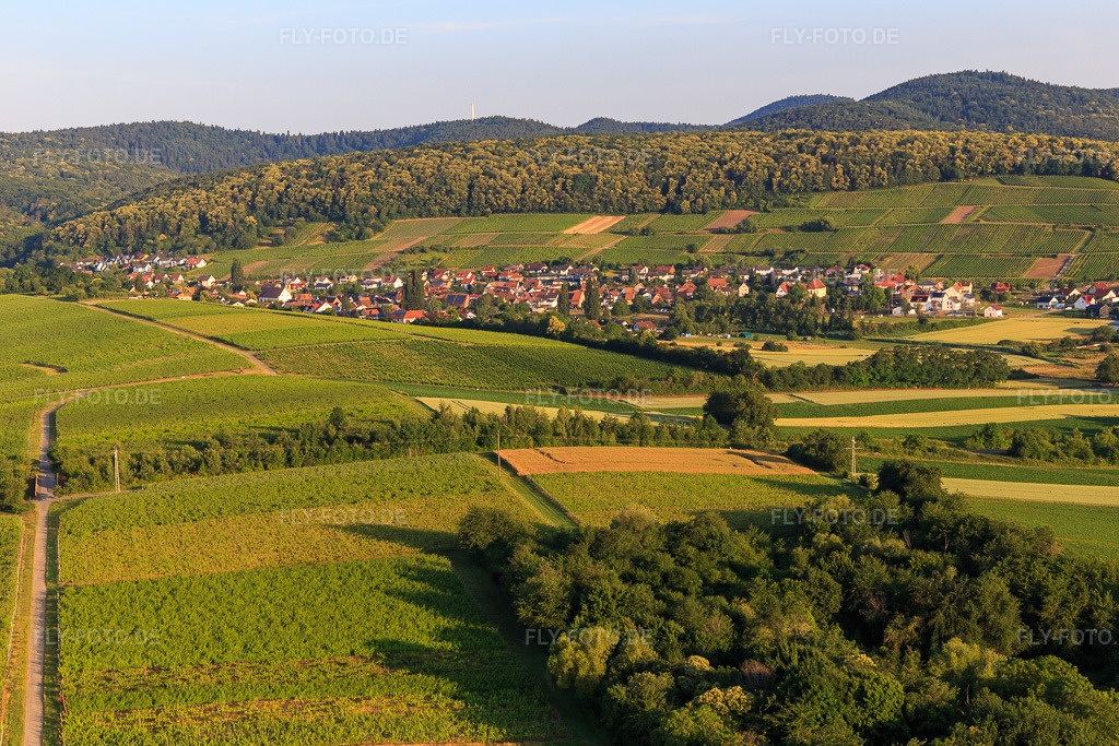 Luftbild: Weinort von Osten im Ortsteil Pleisweiler in Pleisweiler-Oberhofen im Bundesland Rheinland-Pfalz in Deutschland. Foto: IMG_148545.jpg vom 18.06.2025 durch Werner Riehm/FLY-FOTO.de