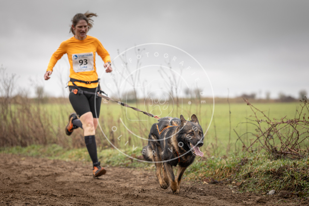DV3A0051 | Hundefotografie, Tierfotograf, Pfotenfotografie, Fotoshooting Hund, Hunde Portrait, Hundesport, Hundeportraits, Heideshooting, Hunde, Sportfotograf, Hundefotograf, Turnierhundsport, THS,  - Realisiert mit Pictrs.com