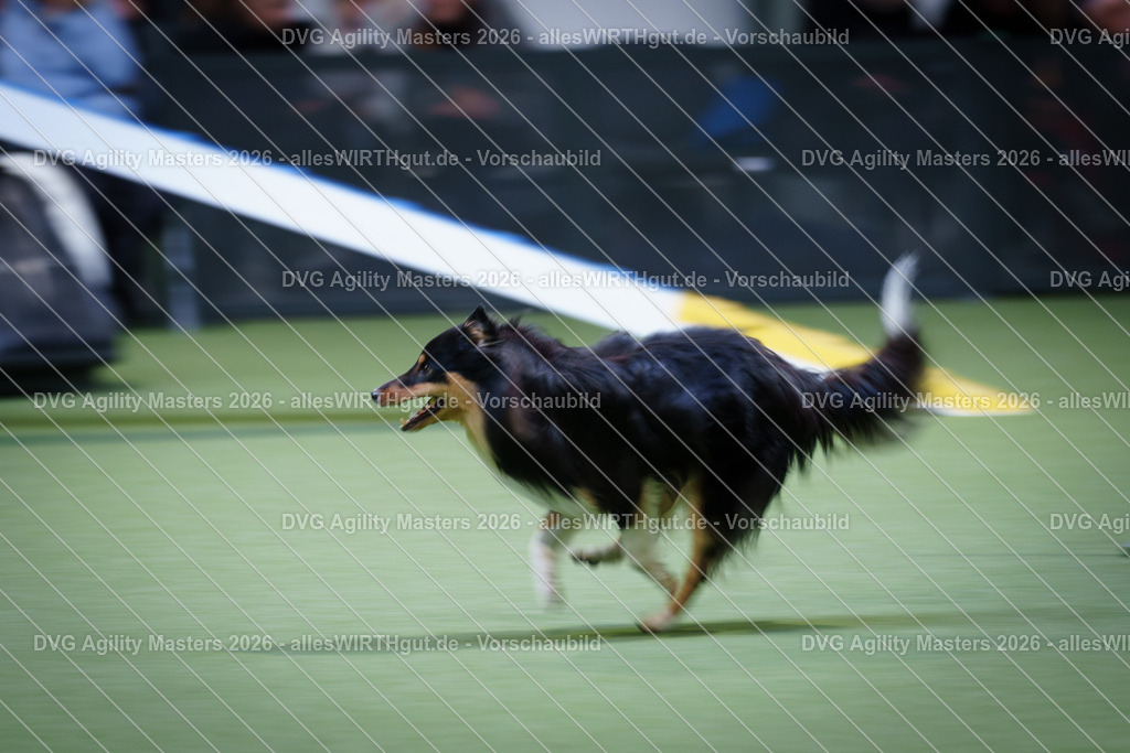 allesWIRTHgut_Tierfotografie-DVG_Agility_Masters_2026-14_48-7R505513 | Professionelle Tierfotografie in Mönchengladbach von Daniel Wirth (allesWIRTHgut). Liebevolle & natürliche Bilder von Hunden & Katzen für unvergessliche Erinnerungen.