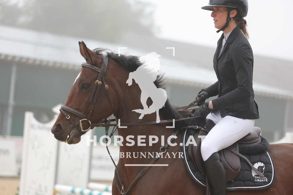 0P6A0482 | Willkommen bei Brunnmayr - Design & Fotografie – Ihrem Spezialisten für Reitturniere und Pferdeveranstaltungen in Oberösterreich, Salzburg und Bayern! Seit über 17 Jahren sind wir leidenschaftlich dabei.