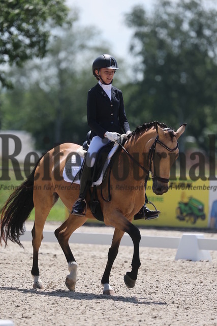 Rot am See_2024_Prfg.Nr.21_Qual.BCH_und_LCH_5-jähr.Ponys_Rosa Duong_Cocosita (7) | Alle Fotos der Reiterjournal Fotografin Doris Matthaes im Reiterjournal Online-Fotoshop. - Realisiert mit Pictrs.com