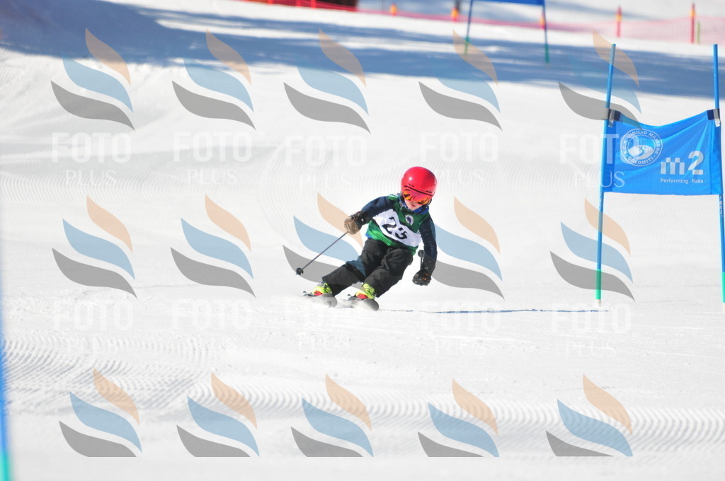 C1970 | holidayphoto