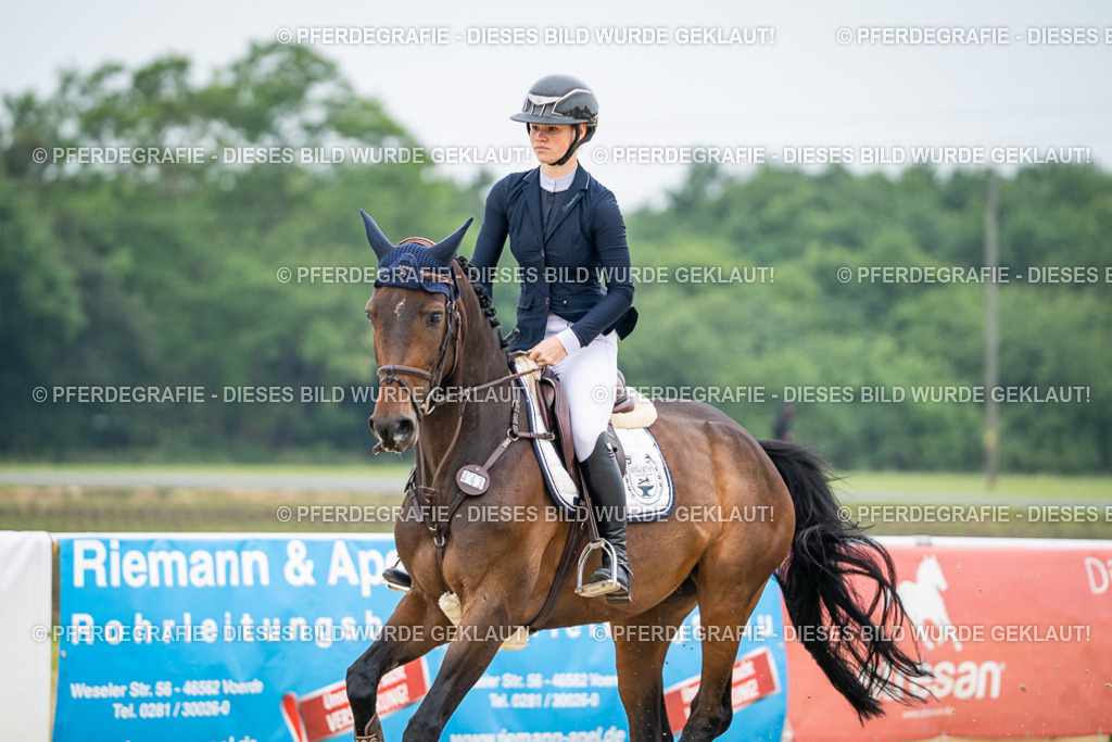 DSC00095 | Pferdegrafie