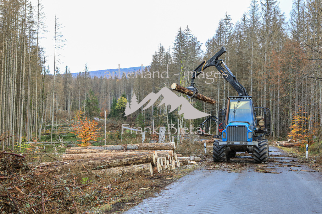 OE7A3279 | Medien- Sport- Entertainmentfotos