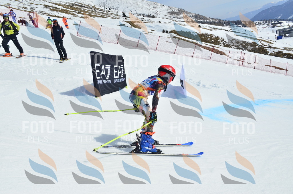 _ELE1459 | holidayphoto