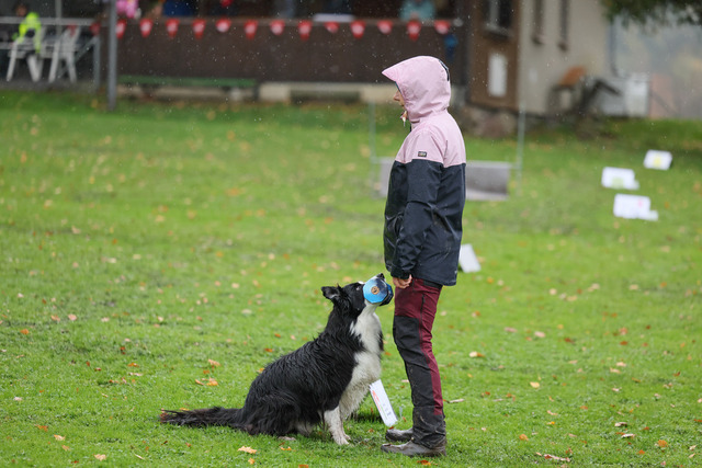 2025_Rally_Obedience_SM-122 | Ich fotografiere Hundeausstellungen, Sportanlässe, Zuchtstätten, Hundezucht, Hundeportrait, Lagotto - Realisiert mit Pictrs.com