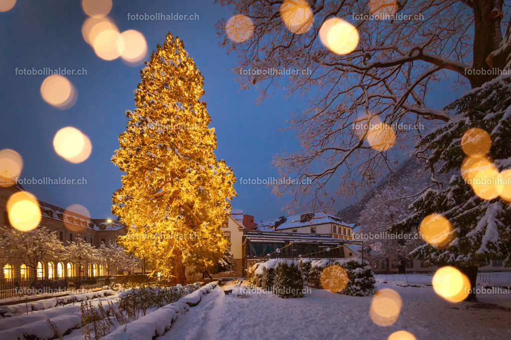 IMG_4753_3 | Foto Bollhalder 