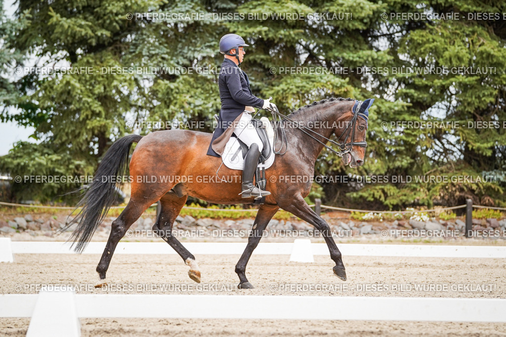 DSC04972 | Pferdegrafie