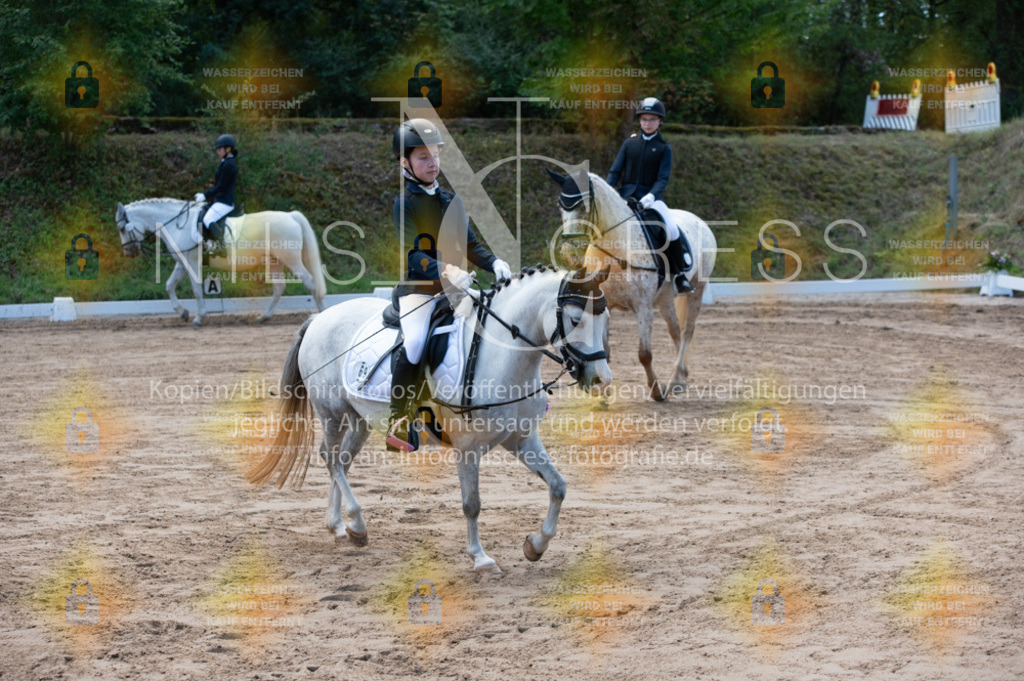 DSC_9482 | Nils Cress - Fotografie - Realisiert mit Pictrs.com