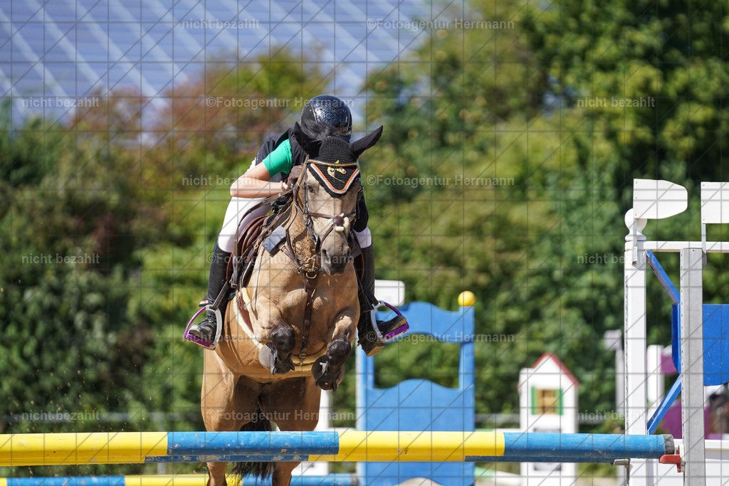 20240824-FAH08294 | Thierhaupten 2024, Bayerisches Landesponyturnier, Turnierbilder, Ponybilder, Turnierfotografen Bayern, Fotoagentur Herrmann