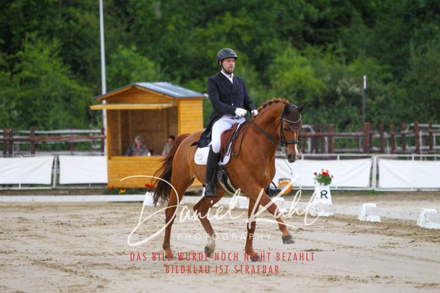 DKP47879 | Turniersportfotografie; Pferdefotografie; Dressurfotografie