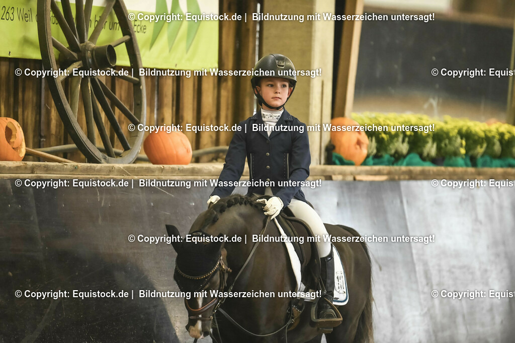 20231029_02_Reiter-WB_Schritt-Trab-Galopp_Abteilung-03_0029 | Foto: Thomas Hartig