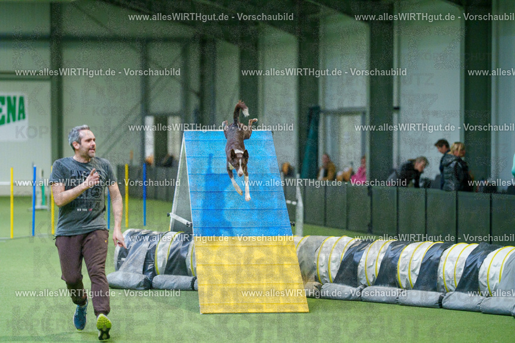 @allesWIRTHgut_Tierfotografie - www.allesWIRTHgut.de - 2604250837-7R507156 | Professionelle Tierfotografie in Mönchengladbach von Daniel Wirth (allesWIRTHgut). Liebevolle & natürliche Bilder von Hunden & Katzen für unvergessliche Erinnerungen.