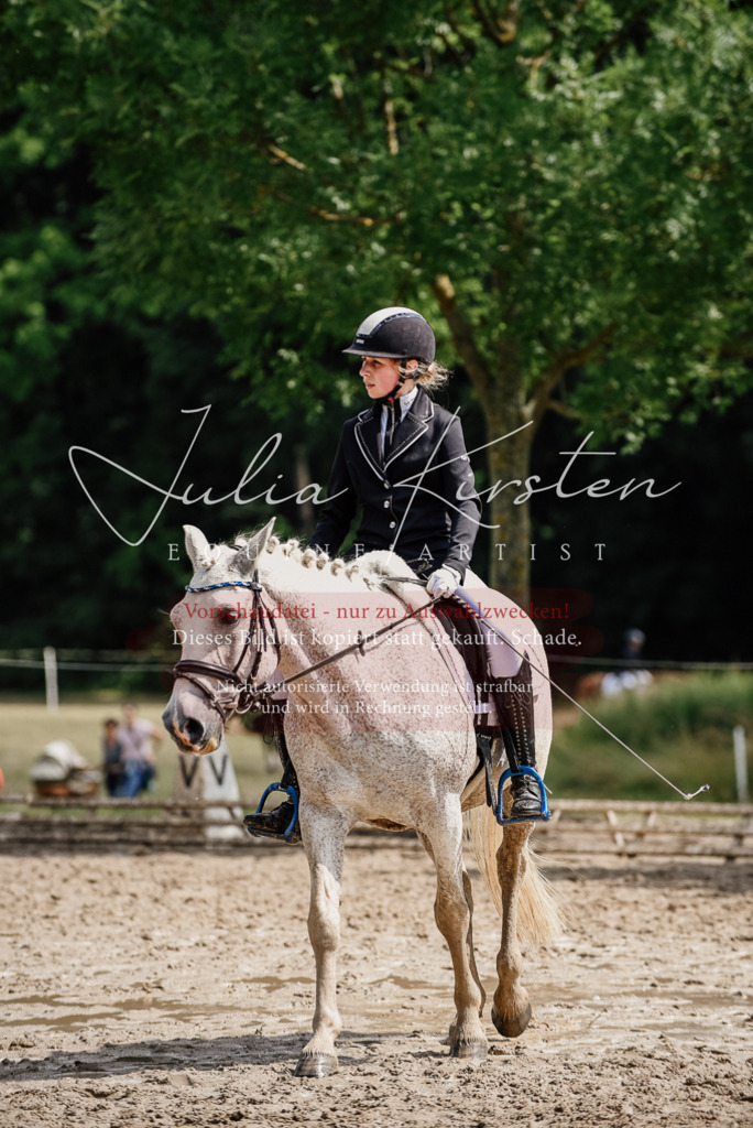 DSC_0572 | Pferde- und Turnierfotografie in Westsachsen. Pferdeportraits, Auftragszeichnungen und intuitive Kunst.