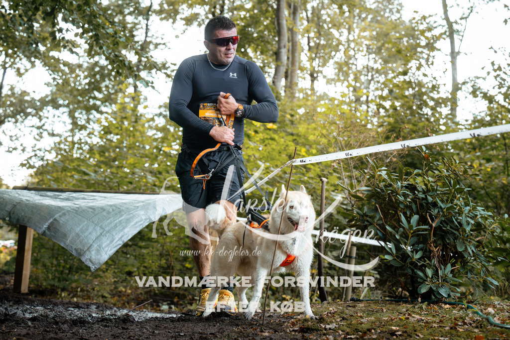 1410DZ6_1234Z6 | kk-dogfotos