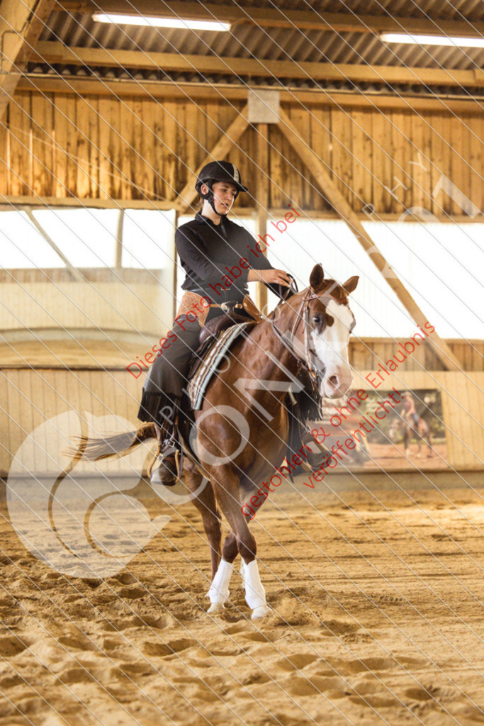 IMG_5662 | Sport-, Event- und Tierfotos in Profiqualität. Einfach auswählen, bestellen und herunterladen. Dein Moment – perfekt festgehalten.