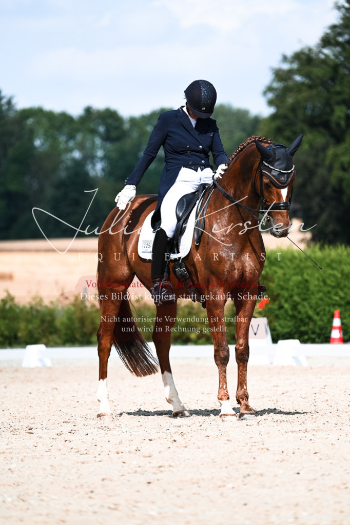 DSC_3223 | Pferde- und Turnierfotografie in Westsachsen. Pferdeportraits, Auftragszeichnungen und intuitive Kunst.