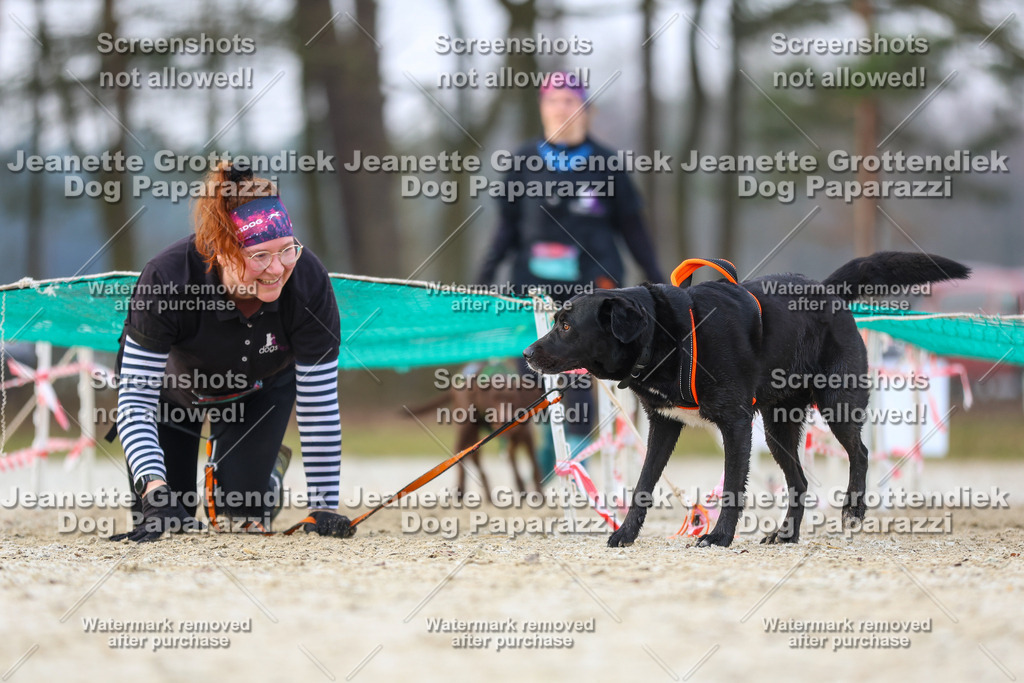 Dog Paparazzi - Strongdog North Mrz26-3880 | Dog Paparazzi Jeanette Grottendiek Fotografie & Videografie - Realisiert mit Pictrs.com