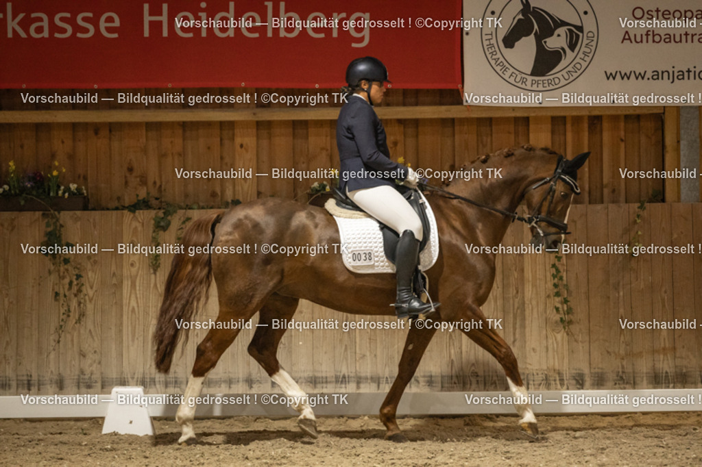 _D5A0411 | Emotionale Pferde- & People-Fotografie rund um Heidelberg, Leimen & Umgebung. Natürliche Fotos von Pferd, Mensch & Familie. Jetzt Termin sichern!