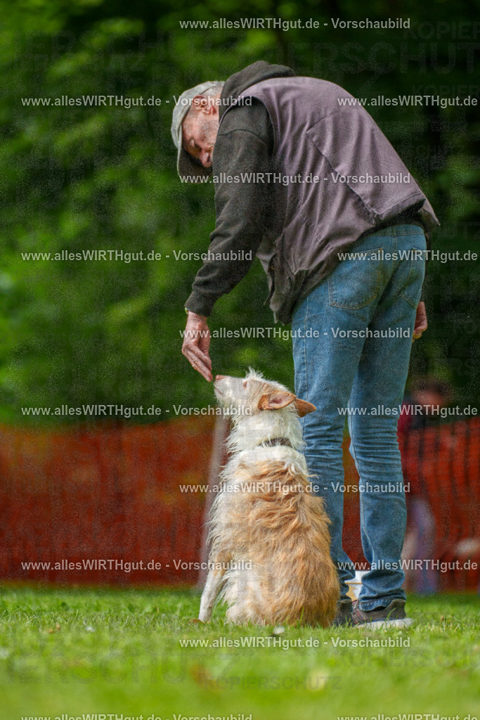 @allesWIRTHgut_Tierfotografie - www.allesWIRTHgut.de - 7R501289 | Professionelle Tierfotografie in Mönchengladbach von Daniel Wirth (allesWIRTHgut). Liebevolle & natürliche Bilder von Hunden & Katzen für unvergessliche Erinnerungen.