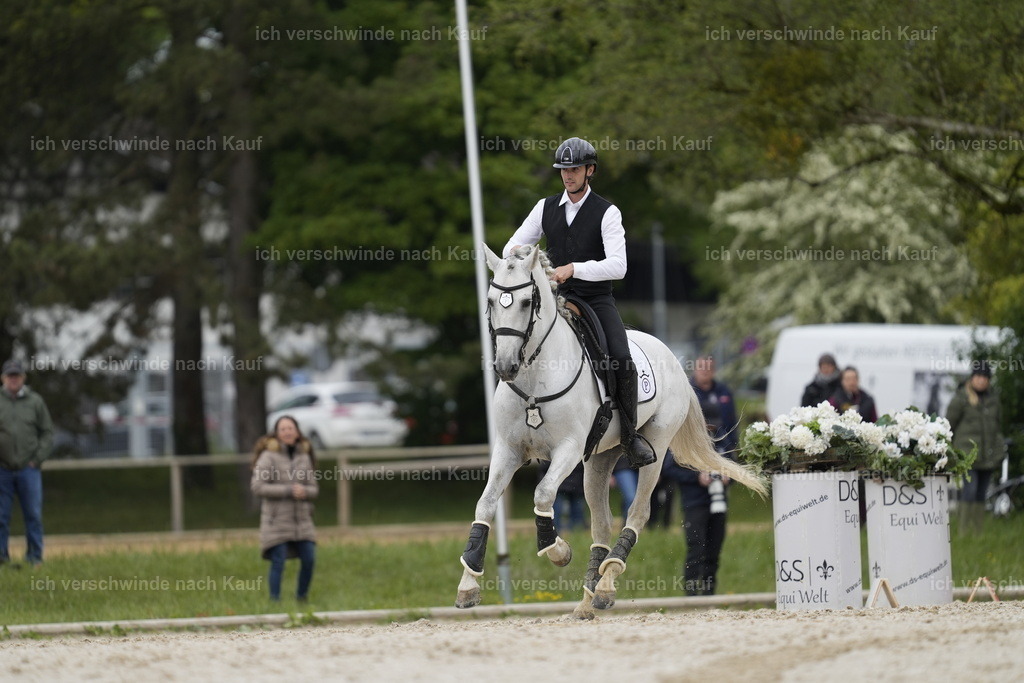 PI26_SP_Stoibphotography_A747212.JPG | working equitationturnier fotograf videograf stoibphotography marixx film working equitation deutschland reitsport turnierfotografie eventfotografie equestrian events