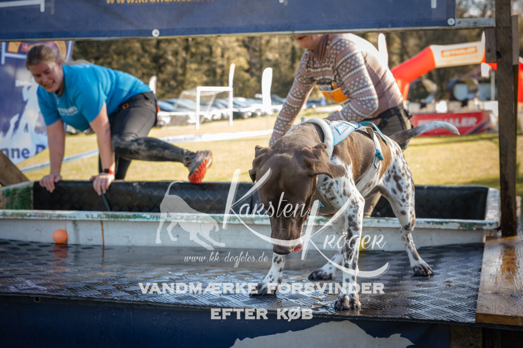 1207_ZZ94722 | kk-dogfotos