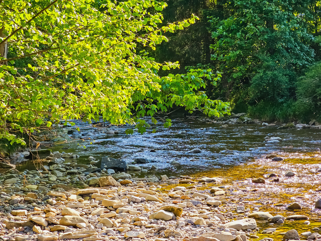 PSX_20230602_232043 | mtkfoto_ - Realisiert mit Pictrs.com