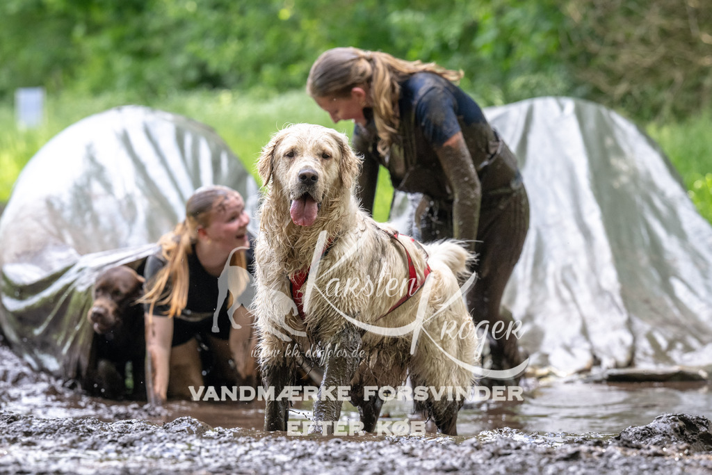 1319_ZZ90827 | kk-dogfotos