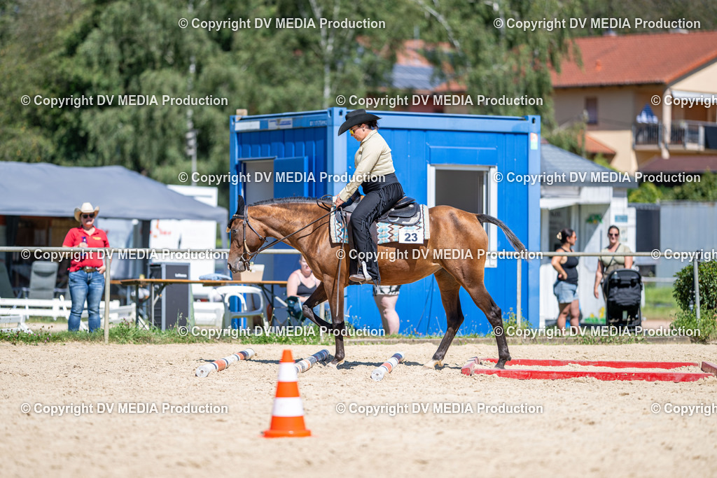 LM Heiligenwald Tag 1-1377 | dv-media-shop - Realisiert mit Pictrs.com